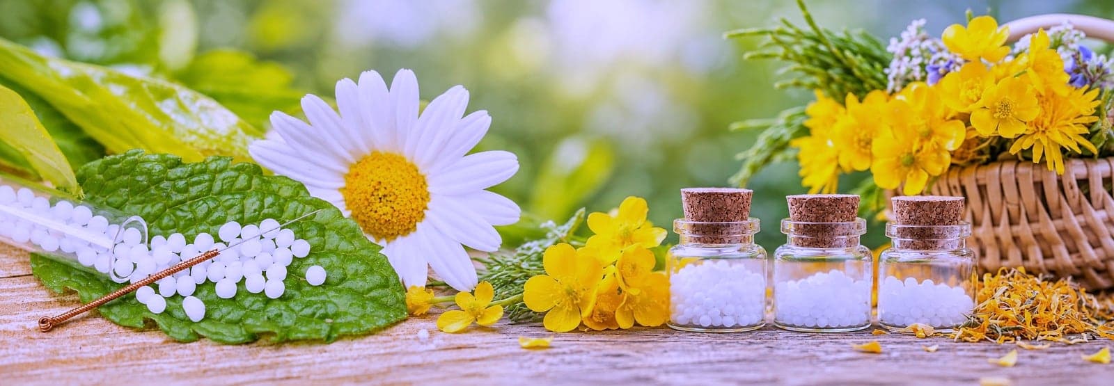 Homöopathie — Klassische Homöopathie in der Naturheilpraxis Karra