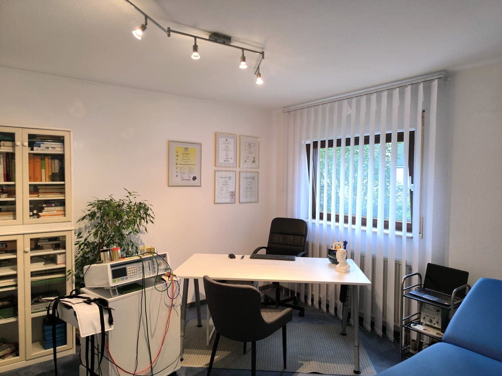 Bioresonanz (BICOM) — Bioresonanztherapie in der Naturheilpraxis Karra